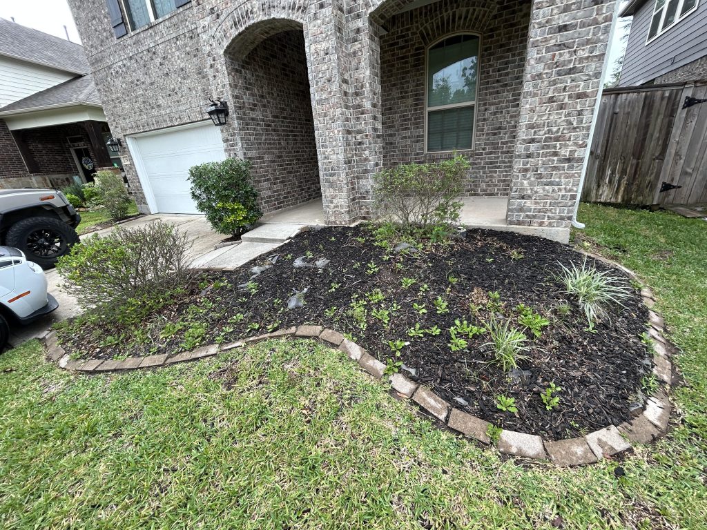 landscaping before project